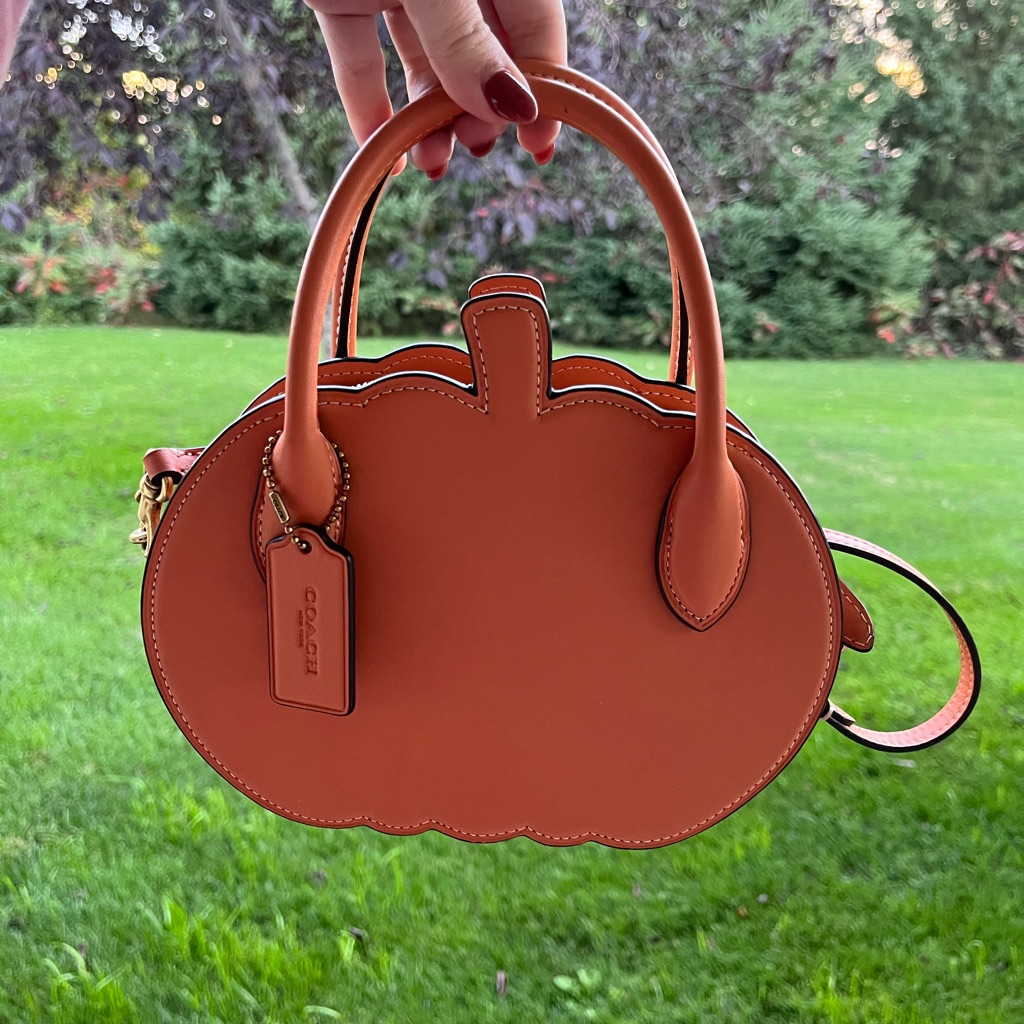 Viral Coach Pumpkin Fall Crossbody Bag Purse
